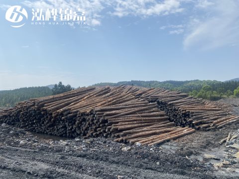 河道打樁為什么選擇松木樁來處理軟地基？-松木樁施工使用范圍