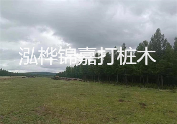 軟土地基加固措施，保障建筑穩(wěn)固